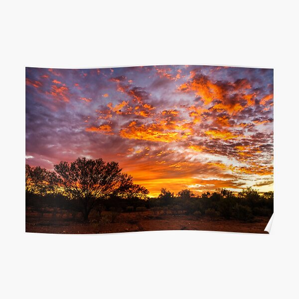 Sunrise In The Desert Poster