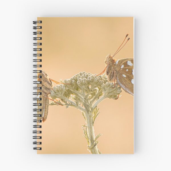 Item preview, Two Dark Green Fritillaries on a Yarrow Plant designed and sold by Tony North.