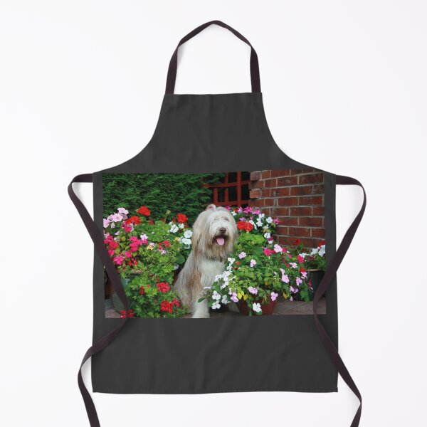 Item preview, Skye The Bearded Collie Dog designed and sold by Paul Thompson Photography.