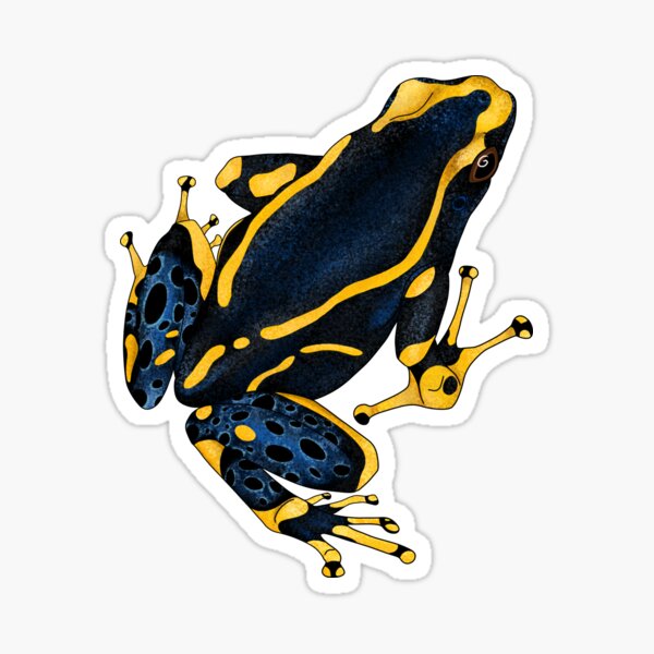 Item preview, Alanis or Dyeing poison dart frog designed and sold by sahasa-artist.