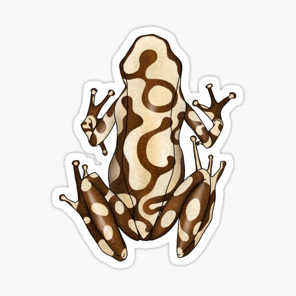 Item preview, Auratus Campana poison dart frog designed and sold by sahasa-artist.