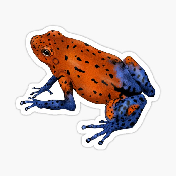 Item preview, Oophaga pumilio Strawberry poison dart frog designed and sold by sahasa-artist.