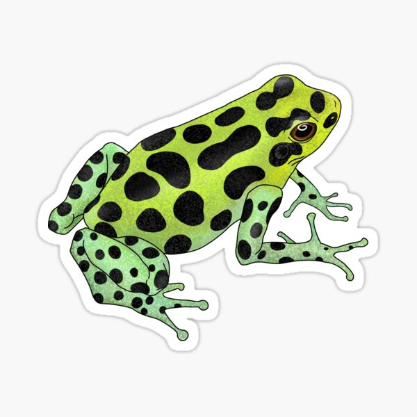 Item preview, Ranitomeya variabilis Highland poison dart frog designed and sold by sahasa-artist.