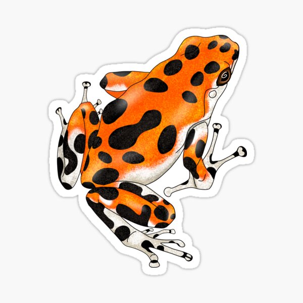 Item preview, Oophaga pumilio Bastimentos poison dart frog designed and sold by sahasa-artist.