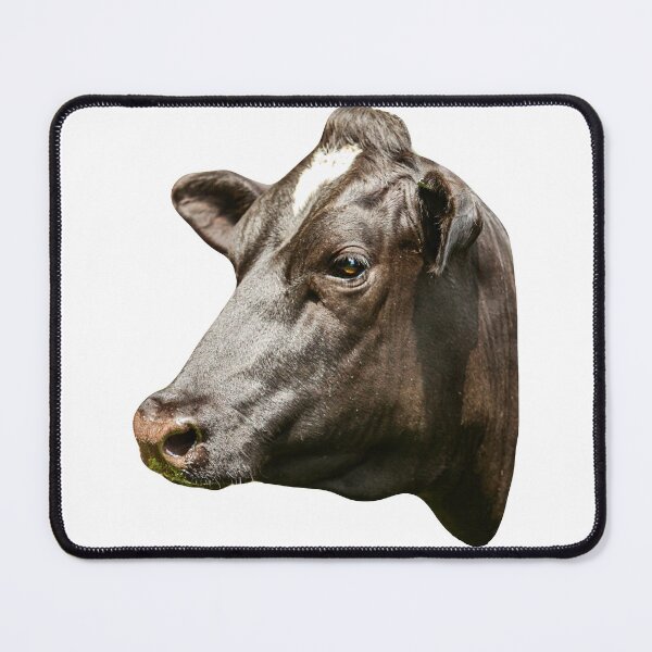 Item preview, Friesian cows head designed and sold by Dalyndigital Photography.