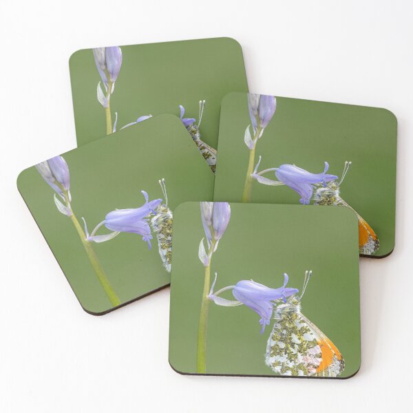 Item preview, Orange Tip on a Bluebell with green background designed and sold by Tony North.