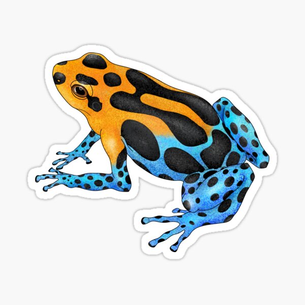 Item preview, Ranitomeya imitator Varadero poison dart frog designed and sold by sahasa-artist.