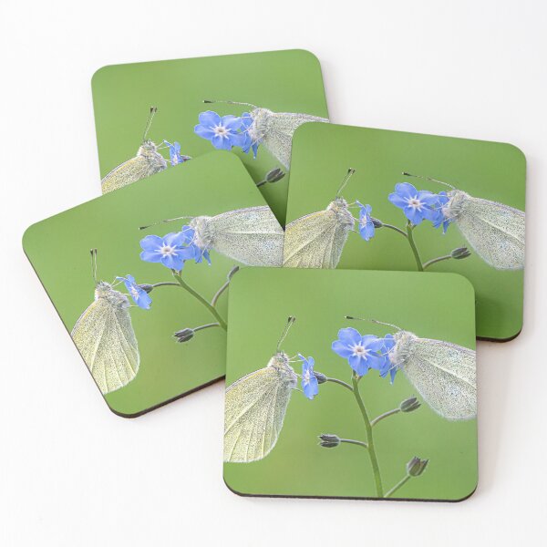 Item preview, Two Small White Butterflies on a Forget-me-not Flower designed and sold by Tony North.