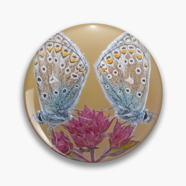 Item preview, Two Common Blue Butterflies on a Wild Marjoram Flower designed and sold by Tony North.