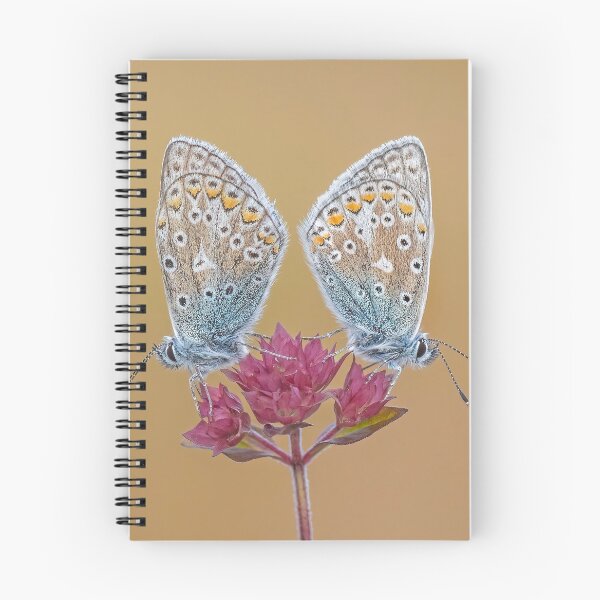 Item preview, Two Common Blue Butterflies on a Wild Marjoram Flower designed and sold by Tony North.