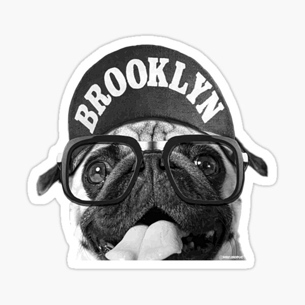 Brooklyn Pug Sticker