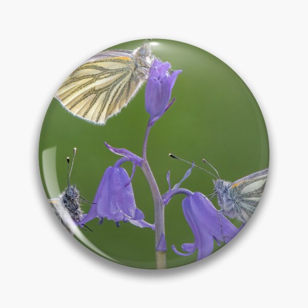 Item preview, Three Green-veined White Butterflies on a Bluebell designed and sold by Tony North.