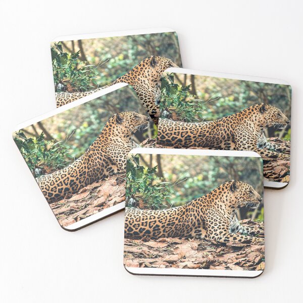 Item preview, Jaguar Art Print designed and sold by Eva Vincent.
