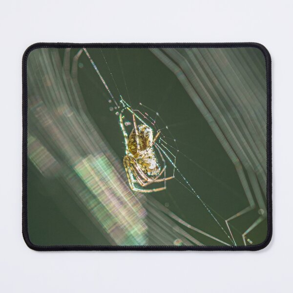 Item preview, Garden Spider on its Web in the Morning designed and sold by Tony North.