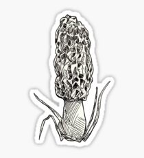 Morel Sticker