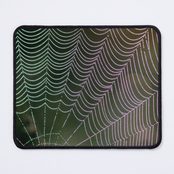 Item preview, Colourful Spider Web with Dewdrops designed and sold by Tony North.
