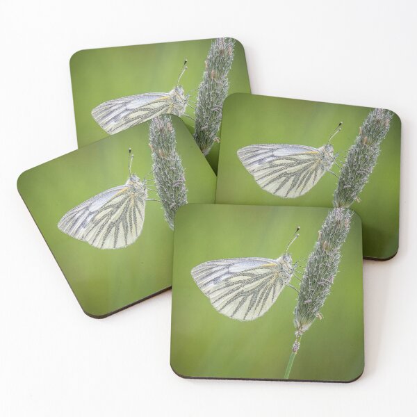 Item preview, Green-veined White Butterfly on Grass Stalk designed and sold by Tony North.