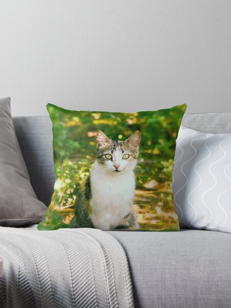Artikel-Vorschau von Katze, designt und verkauft von Philipe3d.