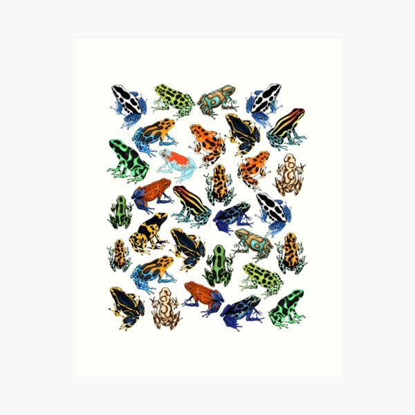 Aperçu de l'œuvre Grenouilles empoisonnées du monde créée et vendue par sahasa-artist.