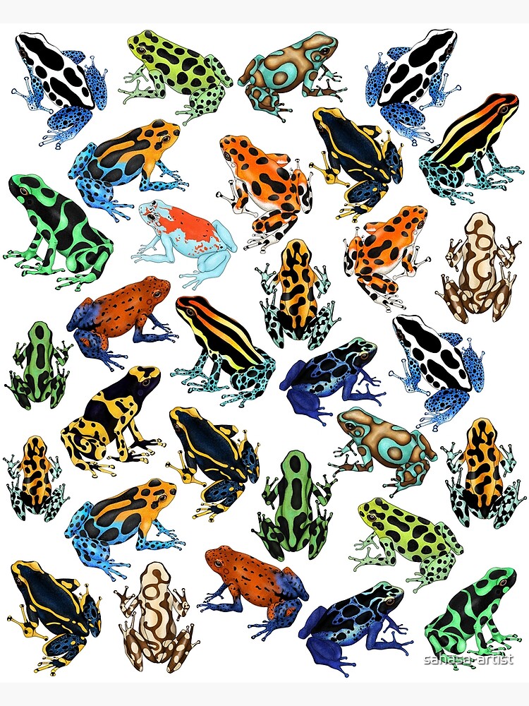 "Poison Dart Frogs of the World" Poster for Sale by sahasa-artist