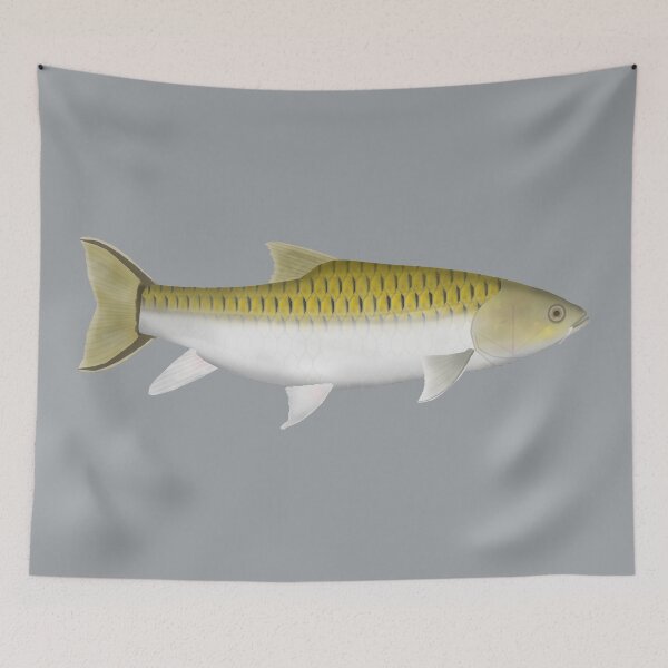 Item preview, Thai Mahseer designed and sold by fishfolkart.