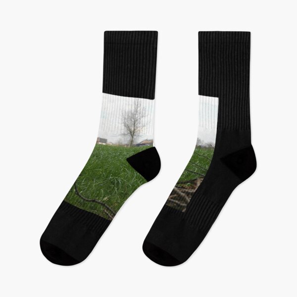 Item preview, Smaller tree branches in front of a green grass landscape   designed and sold by BuckridgeHunter.