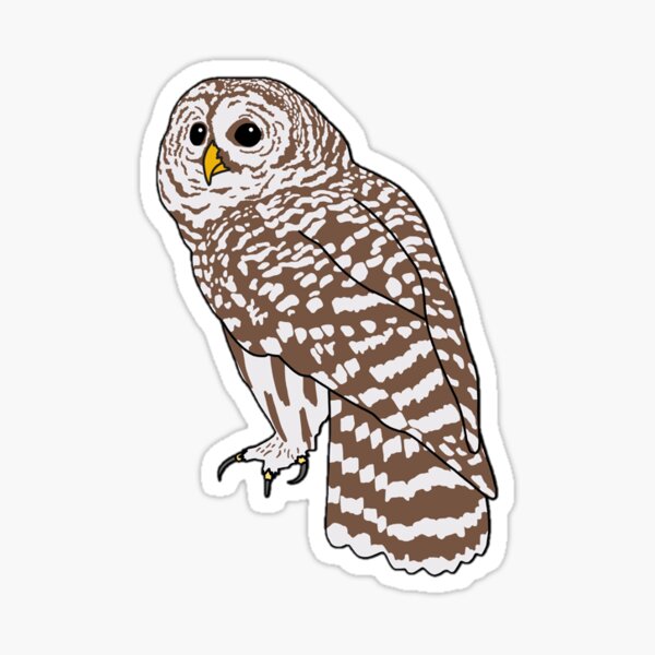 Item preview, Barred Owl designed and sold by taylorrowan.