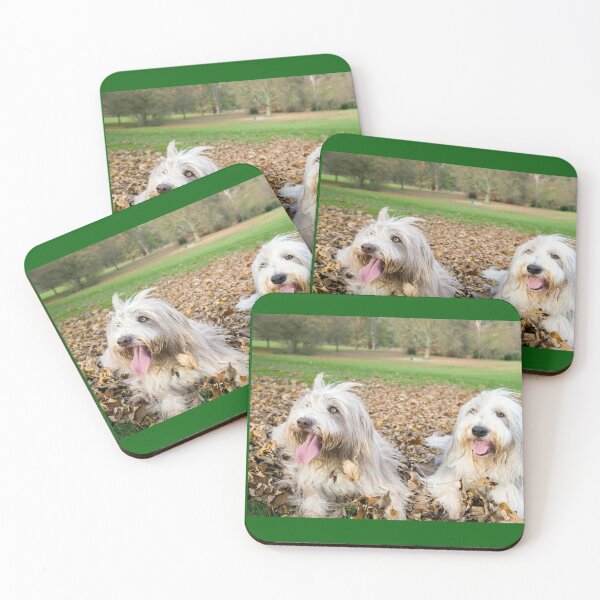 Item preview, Two Bearded Collie Dogs designed and sold by Paul Thompson Photography.