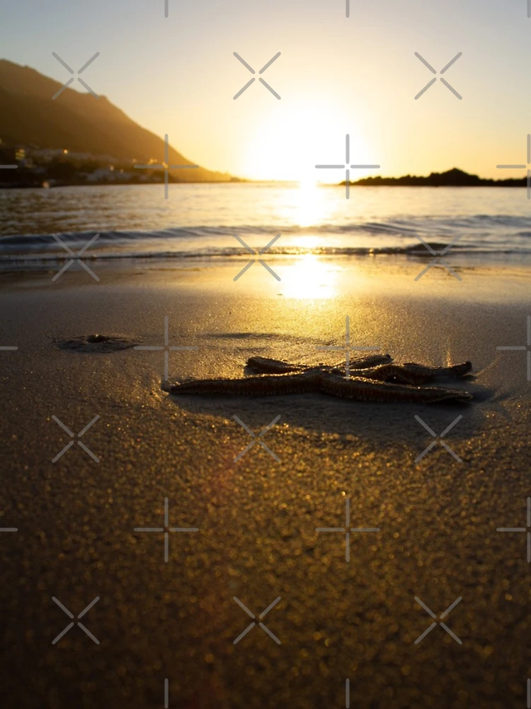 Thumbnail 4 of 4, iPhone Case, Sunset designed and sold by SaintGraphix.