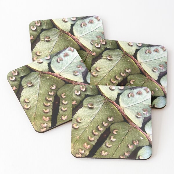 Item preview, Helecho designed and sold by Jason Tompkins.