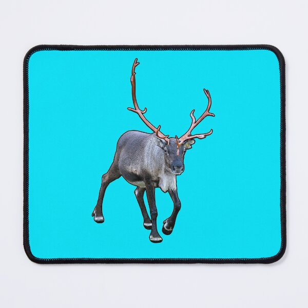 Item preview, Santa Claus Reindeer designed and sold by FotoJarmo.