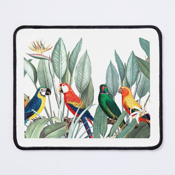 Item preview, Aesthetic Parrot Art Print designed and sold by Eva Vincent.