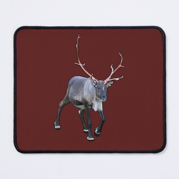 Item preview, Santa Claus Reindeer designed and sold by FotoJarmo.