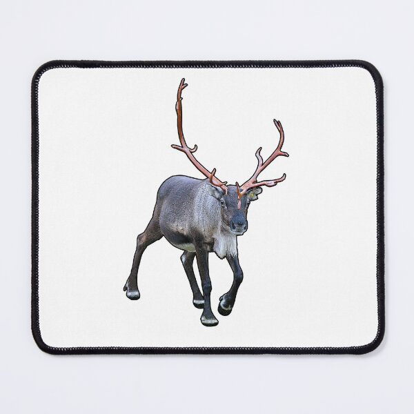 Item preview, Santa Claus Reindeer designed and sold by FotoJarmo.