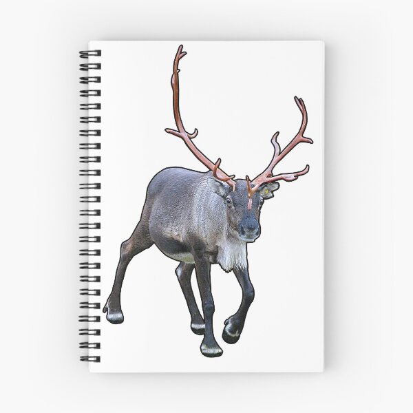 Item preview, Santa Claus Reindeer designed and sold by FotoJarmo.