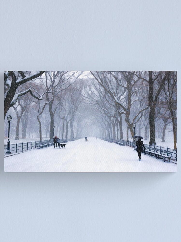 New York City Central Park Bethesda Fountain by Christopher Arndt