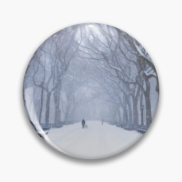Artikelvorschau, New York City Central Park Mall in Winter entworfen und verkauft von Christopher Arndt.