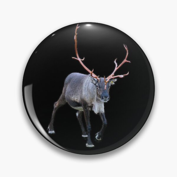 Item preview, Santa Claus Reindeer designed and sold by FotoJarmo.