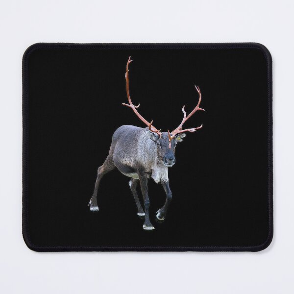 Item preview, Santa Claus Reindeer designed and sold by FotoJarmo.