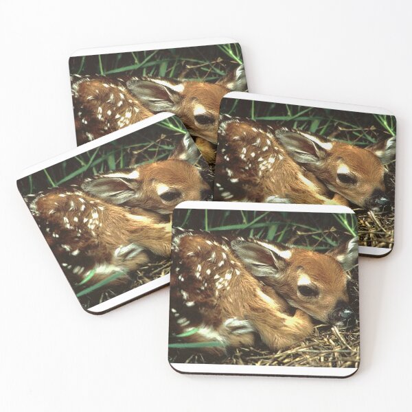 Item preview, Little Bambi Art Print designed and sold by Eva Vincent.