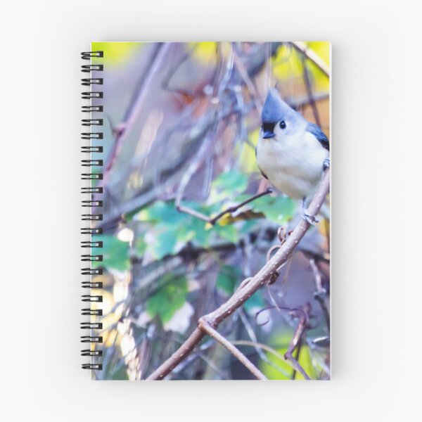 Item preview, Tufted Titmouse designed and sold by lovgeorgia.