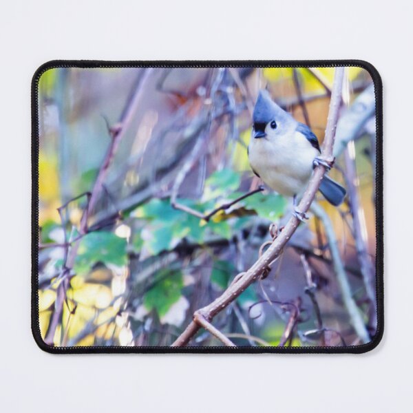 Item preview, Tufted Titmouse designed and sold by lovgeorgia.