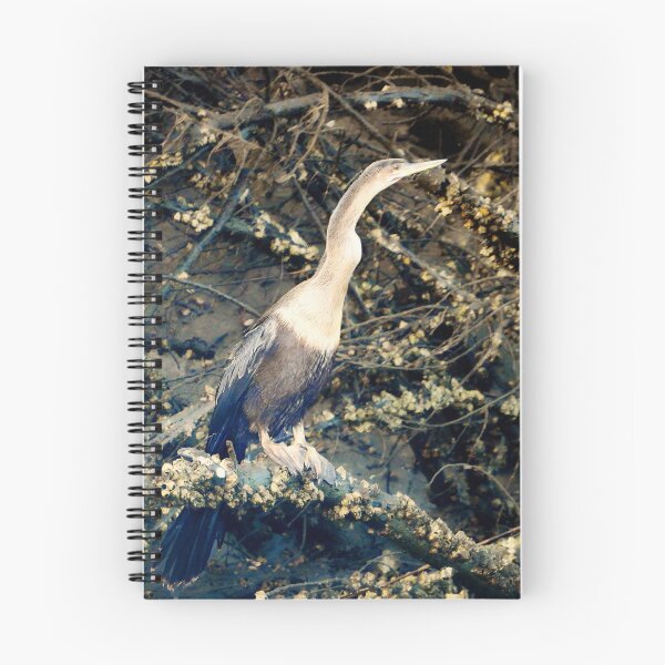 Item preview, Anhinga  designed and sold by lovgeorgia.