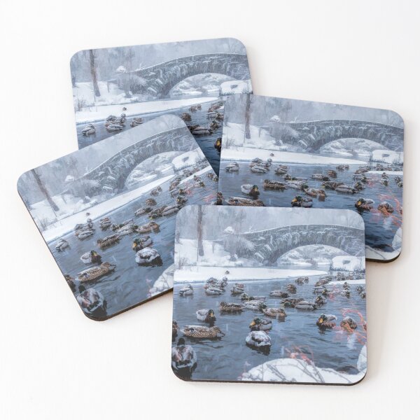 Item preview, New York City Central Park Winter Ducks designed and sold by Christopher Arndt.
