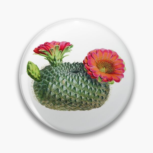 Item preview, Vintage fishhook cactus designed and sold by ChunkyPotato.