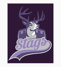 Falkreath Stags Photographic Print