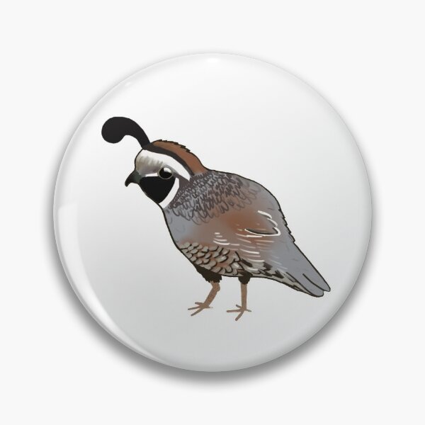 Item preview, Cute California Quail designed and sold by PeppyParrot.