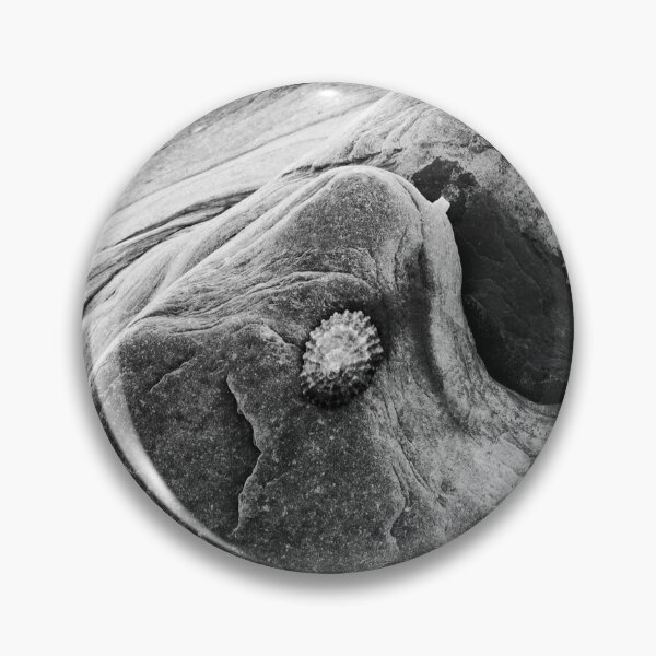 Item preview,  Abstract of rocks and limpets designed and sold by Solotree.