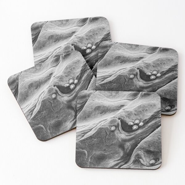 Item preview,  Abstract of rocks and limpets designed and sold by Solotree.