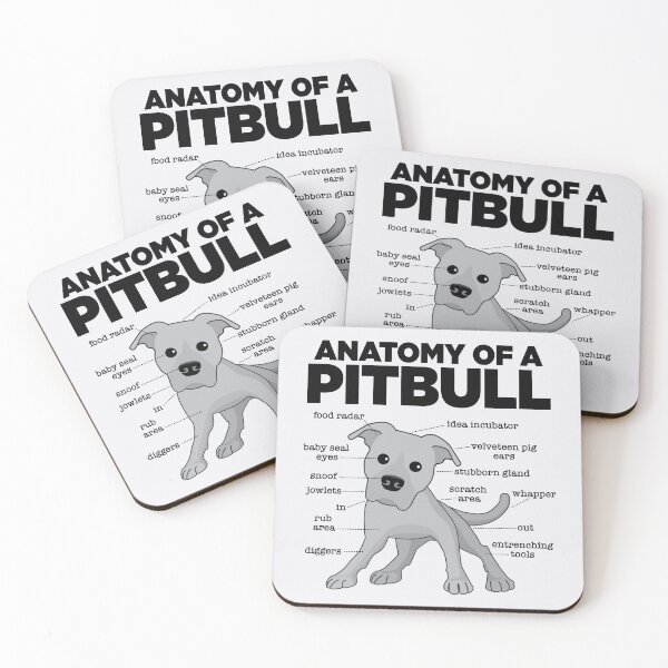 Item preview, Anatomy of a Pitbull designed and sold by mstiv.